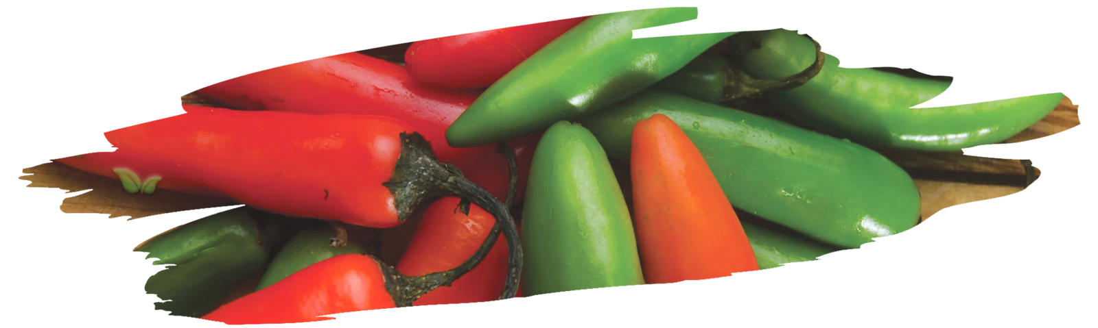 sliced serrano peppers demonstrating medium heat level and crisp flavor