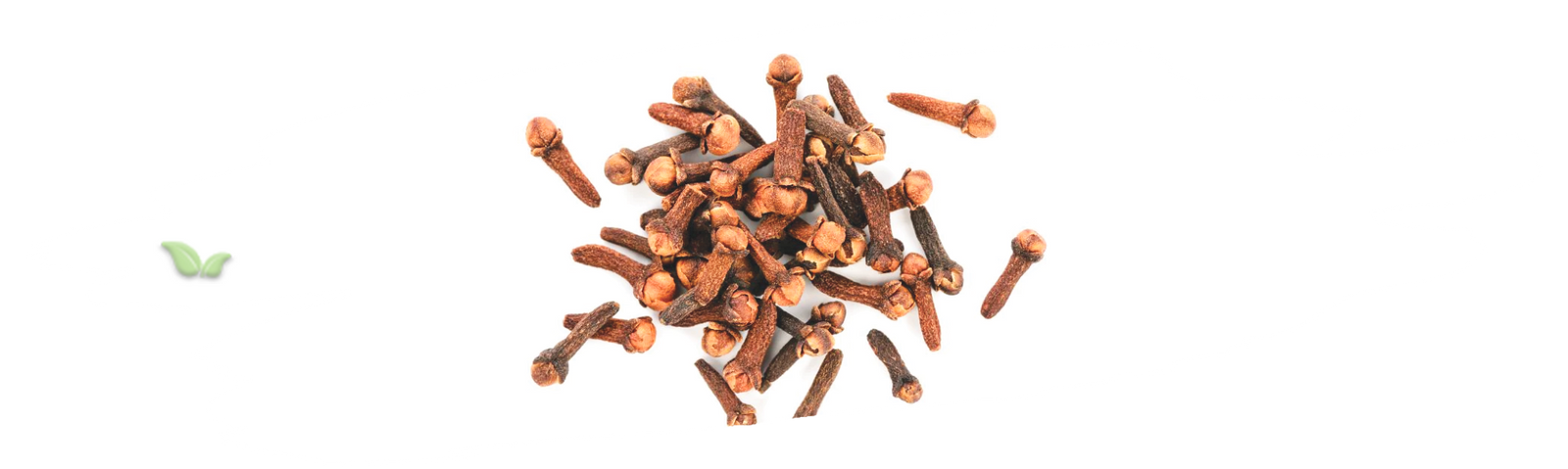 chef adding cloves to dish demonstrating warm and spicy flavor use