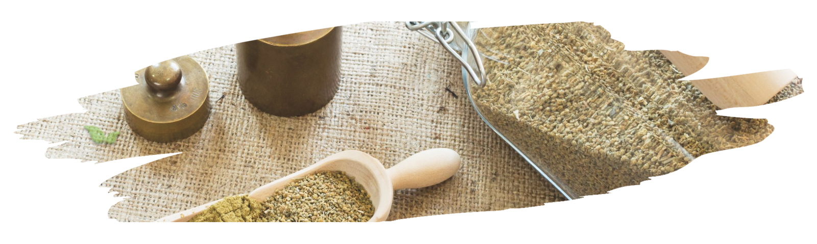 dropper bottle with celery seed extract demonstrating health and flavor benefits