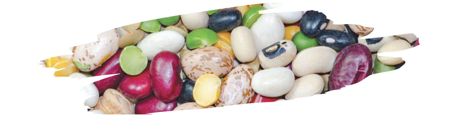 nutritionist preparing bean salad demonstrating weight management benefits