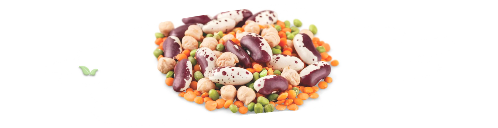 airtight containers of beans demonstrating long term preservation technique