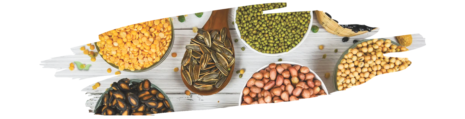 chef preparing quinoa and beans dish demonstrating nutritional combination