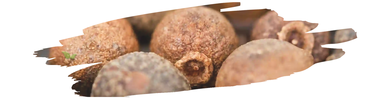 ground allspice powder with baking ingredients demonstrating versatile culinary use