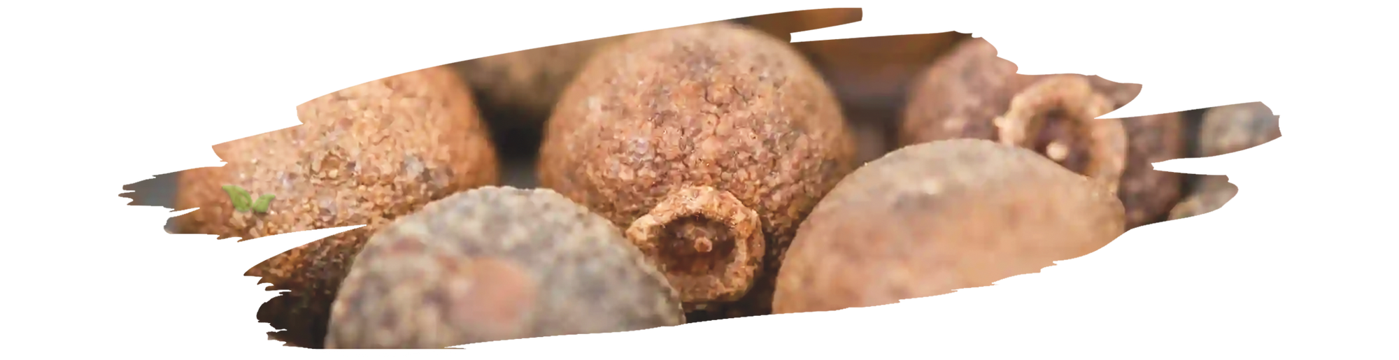 ground allspice powder with baking ingredients demonstrating versatile culinary use