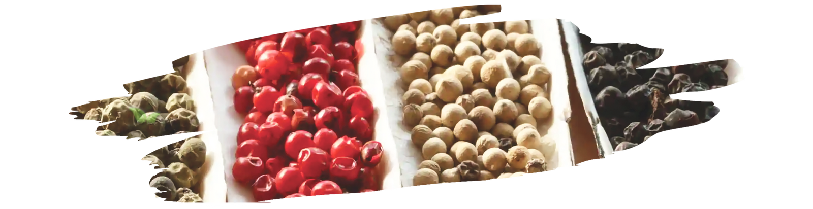 chef seasoning roasted vegetables demonstrating classic french herb mix