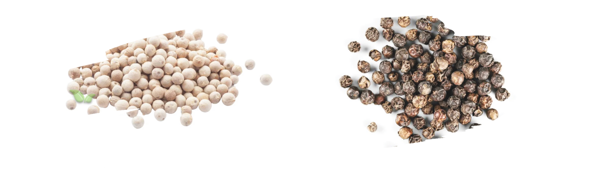 comparison of pepper varieties highlighting flavor and culinary applications