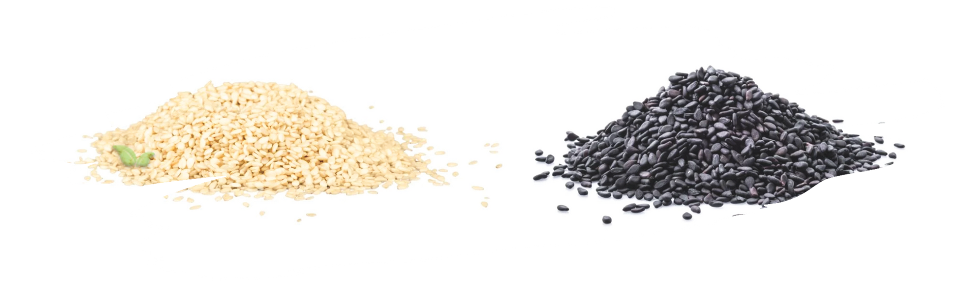 comparison of sesame varieties highlighting flavor and nutritional differences