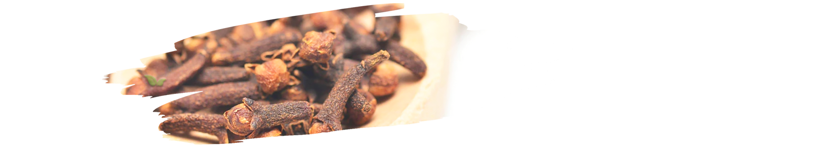 sorted cloves displayed demonstrating grading process for premium spice