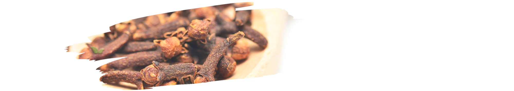 sorted cloves displayed demonstrating grading process for premium spice