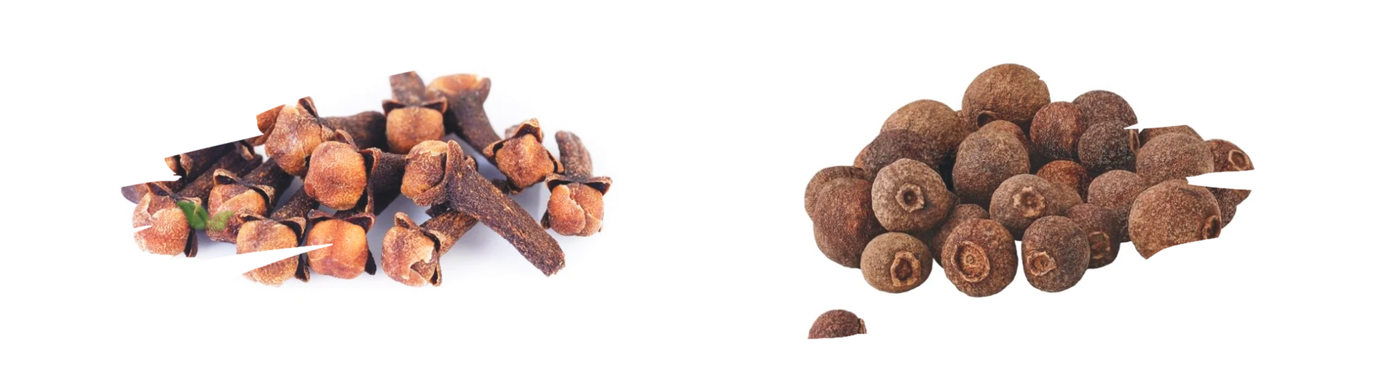 comparison of clove and allspice highlighting aroma and flavor variations