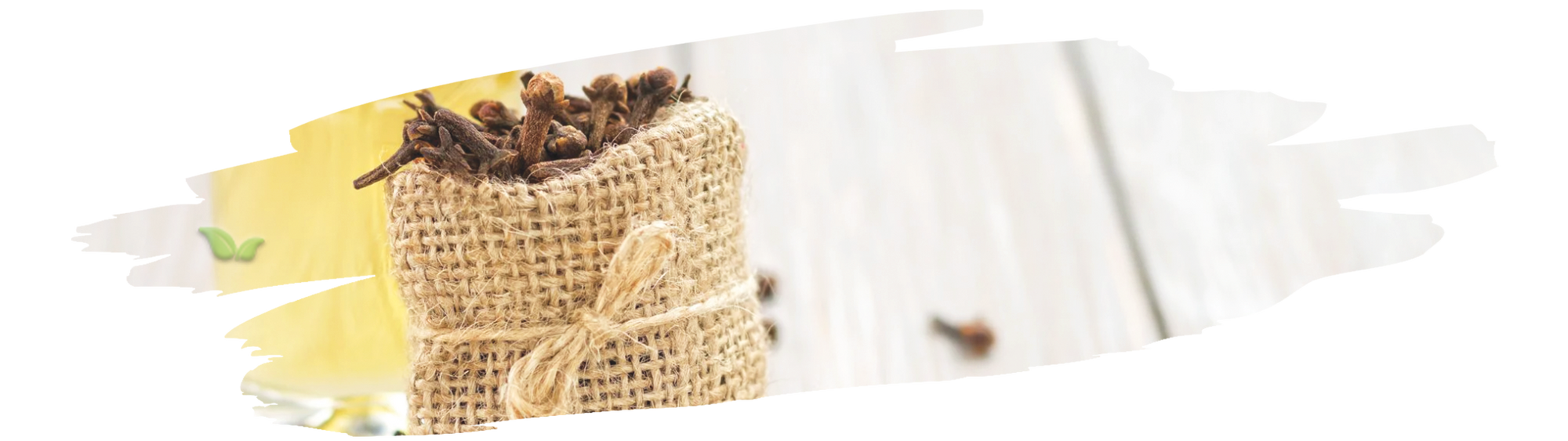 bottle of pure clove essential oil displayed demonstrating natural aroma production