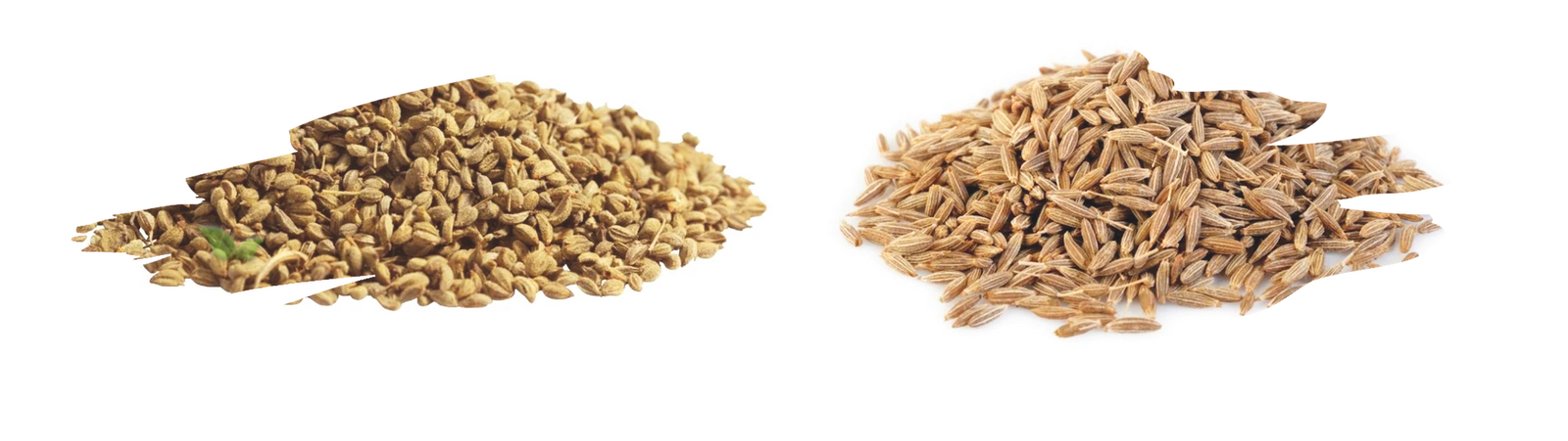 spoonfuls of ajwain and cumin highlighting flavor contrast in cooking