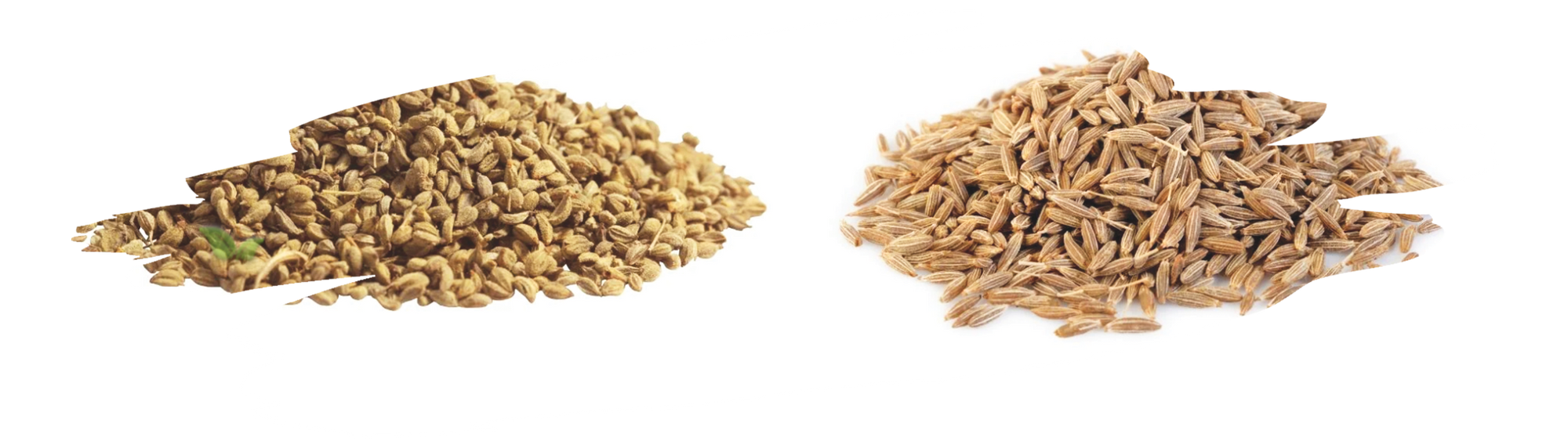 spoonfuls of ajwain and cumin highlighting flavor contrast in cooking