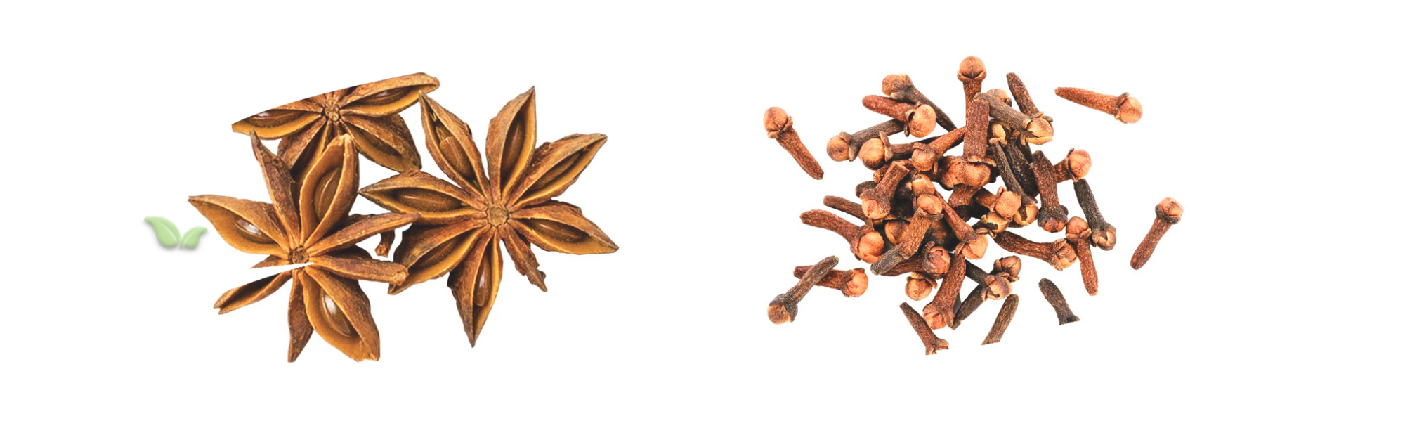 comparison of warm spices demonstrating aroma and taste contrast