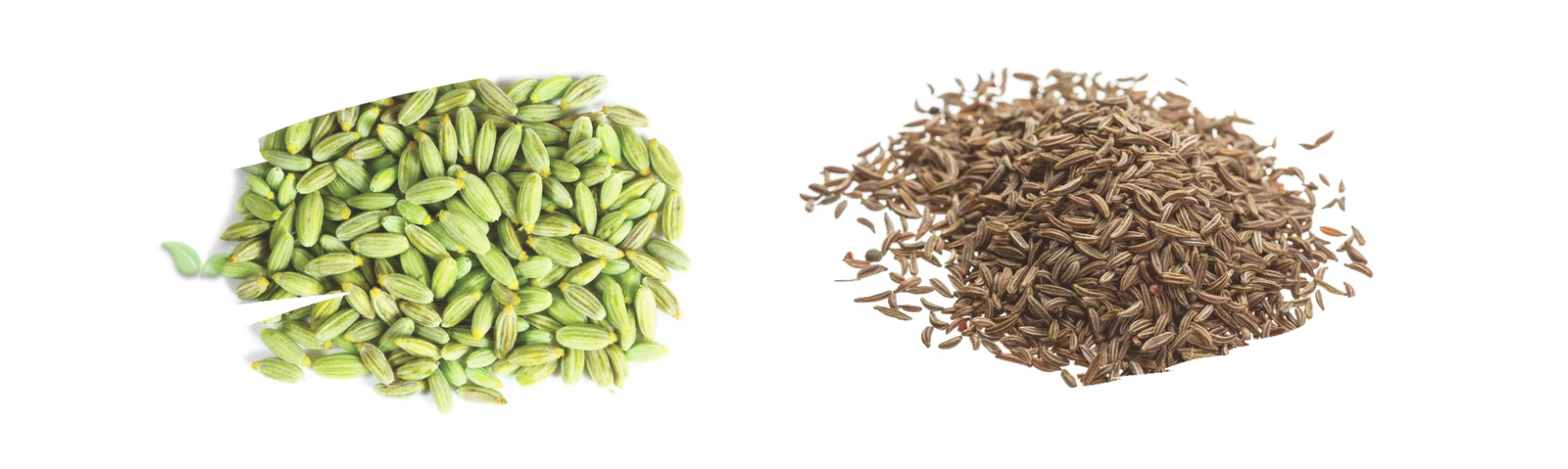 comparison of aromatic seeds demonstrating flavor profile and cooking use
