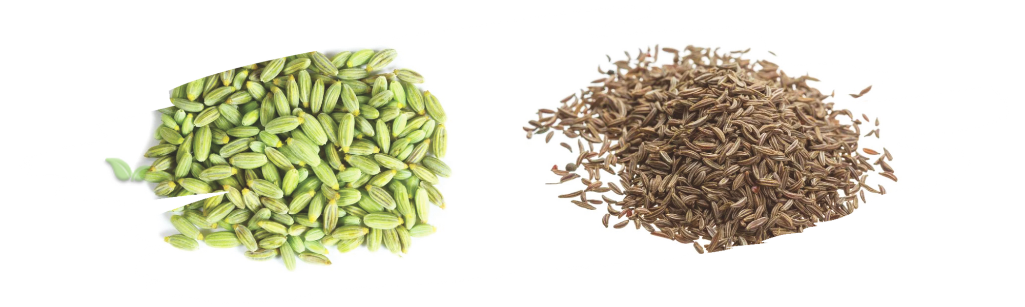 comparison of aromatic seeds demonstrating flavor profile and cooking use
