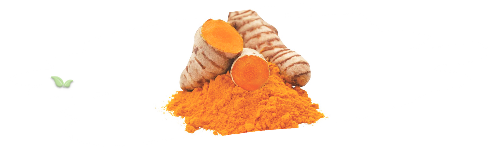 comparison of turmeric types demonstrating flavor and cooking applications