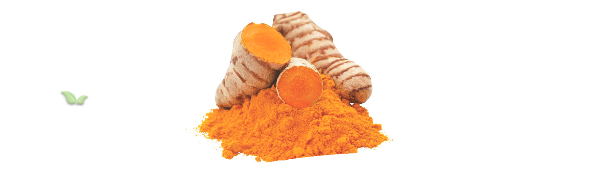 comparison of turmeric types demonstrating flavor and cooking applications