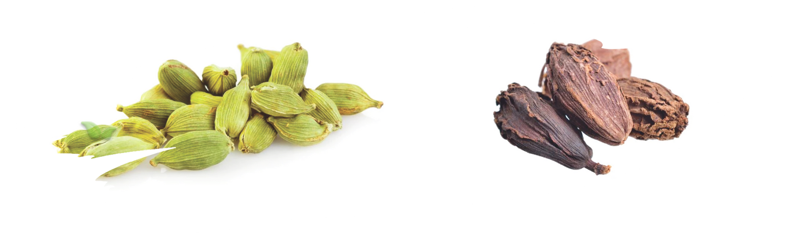 comparison of cardamom types demonstrating aroma and flavor profiles