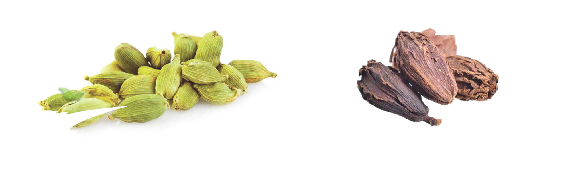 comparison of cardamom types demonstrating aroma and flavor profiles