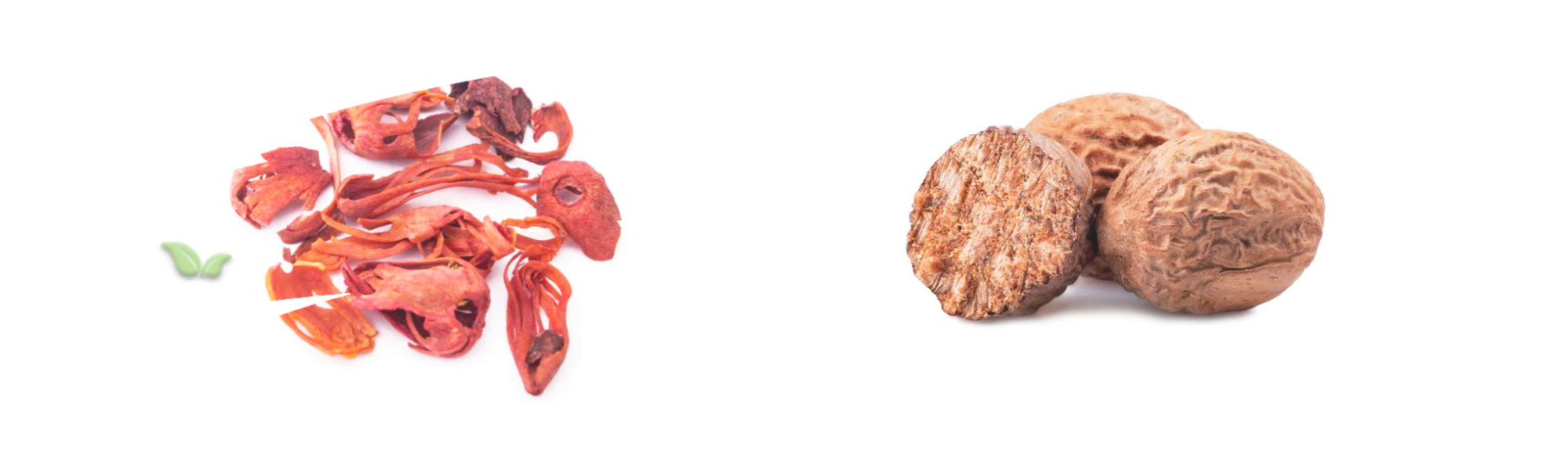 comparison of mace and nutmeg demonstrating flavor intensity and culinary uses