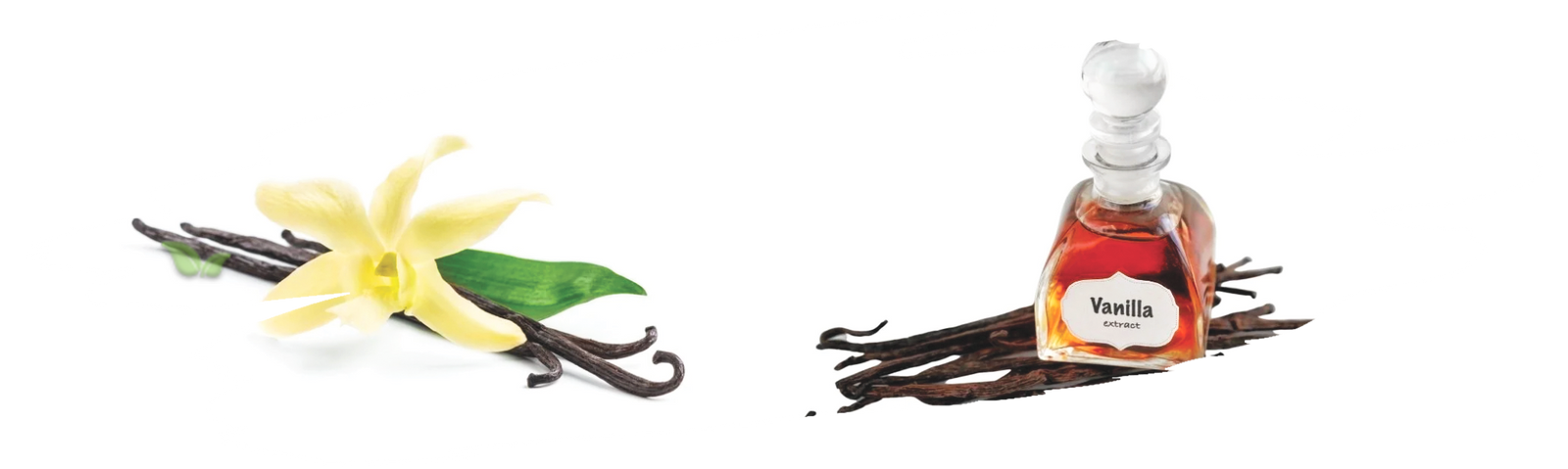 comparison of vanilla forms demonstrating flavor richness and culinary use
