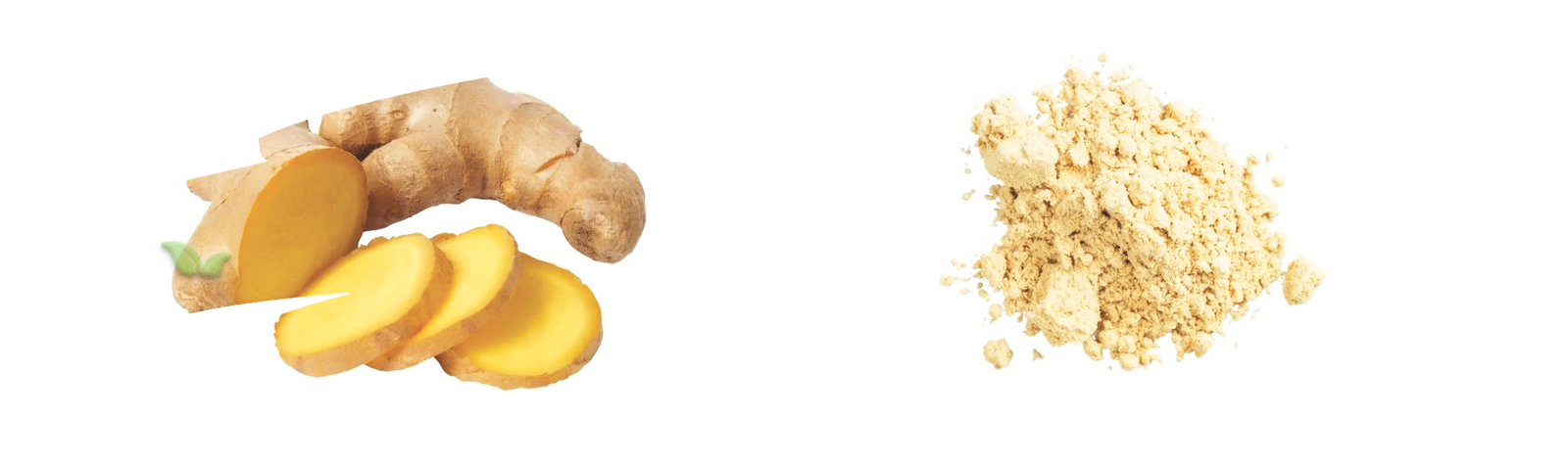 comparison of ginger forms demonstrating flavor strength and cooking uses