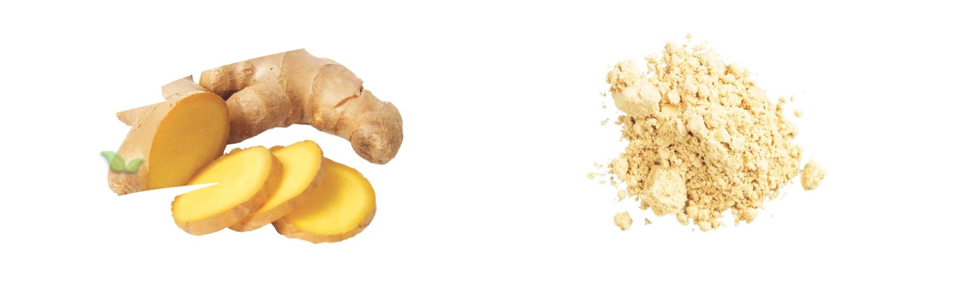 comparison of ginger forms demonstrating flavor strength and cooking uses