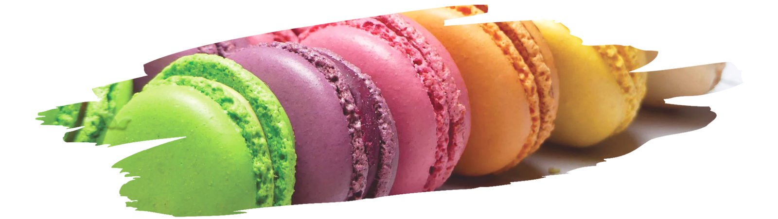 colorful french macarons displayed demonstrating cream of tartar’s role in perfect texture