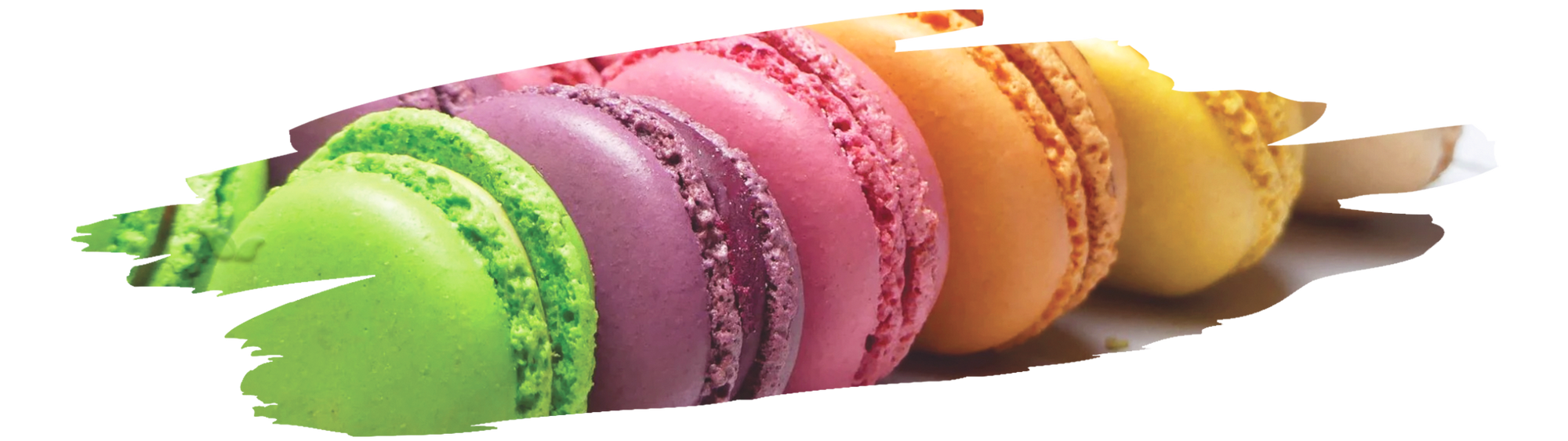colorful french macarons displayed demonstrating cream of tartar’s role in perfect texture
