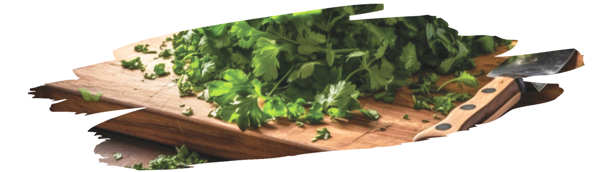 fresh coriander and ground spice displayed with ingredients demonstrating masterchef tips