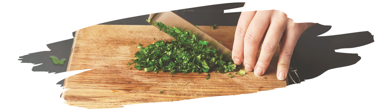 scientist analyzing coriander essential oils demonstrating chemistry behind its scent