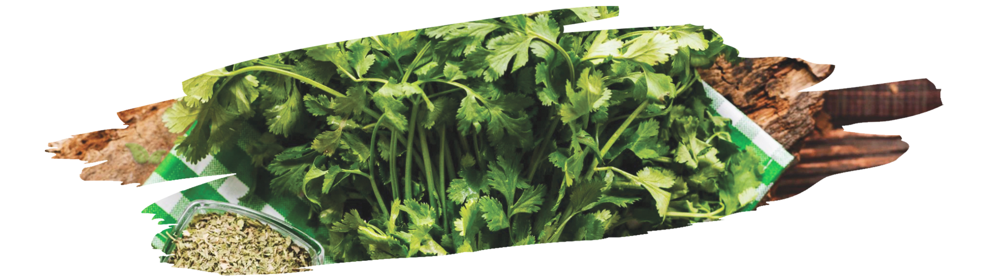world map highlighting top coriander producing countries and regions