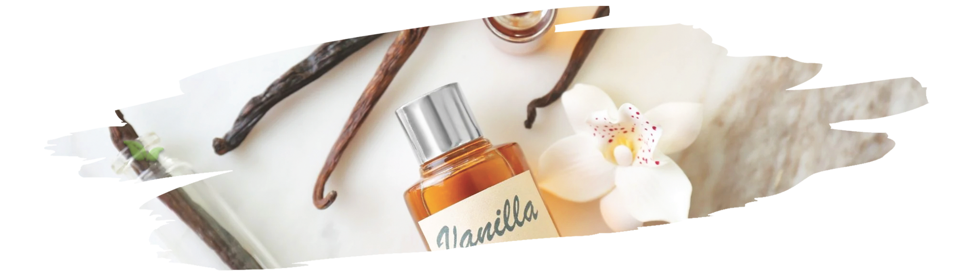 The History of Vanilla: From Ancient Mesoamerica to Modern Desserts
