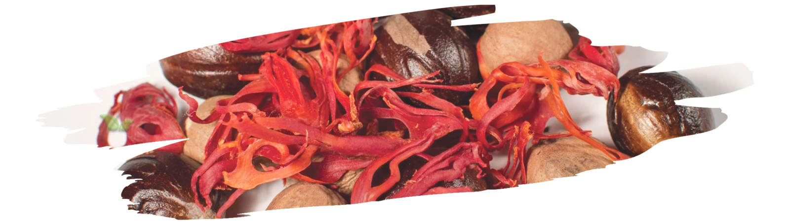 chef adding ground mace to dish demonstrating aromatic culinary use