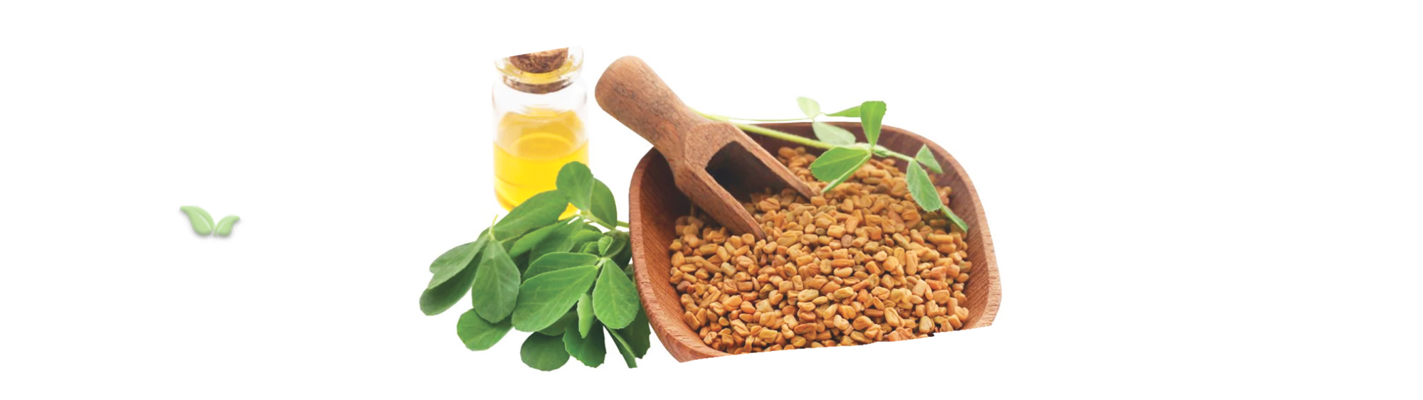 chef adding fenugreek to curry demonstrating traditional culinary use