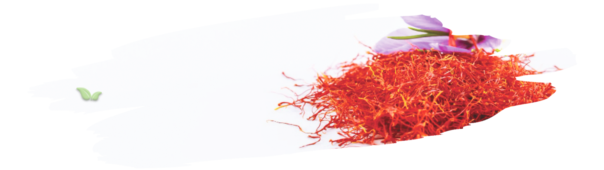 chef adding saffron to rice dish demonstrating rich golden color and aroma
