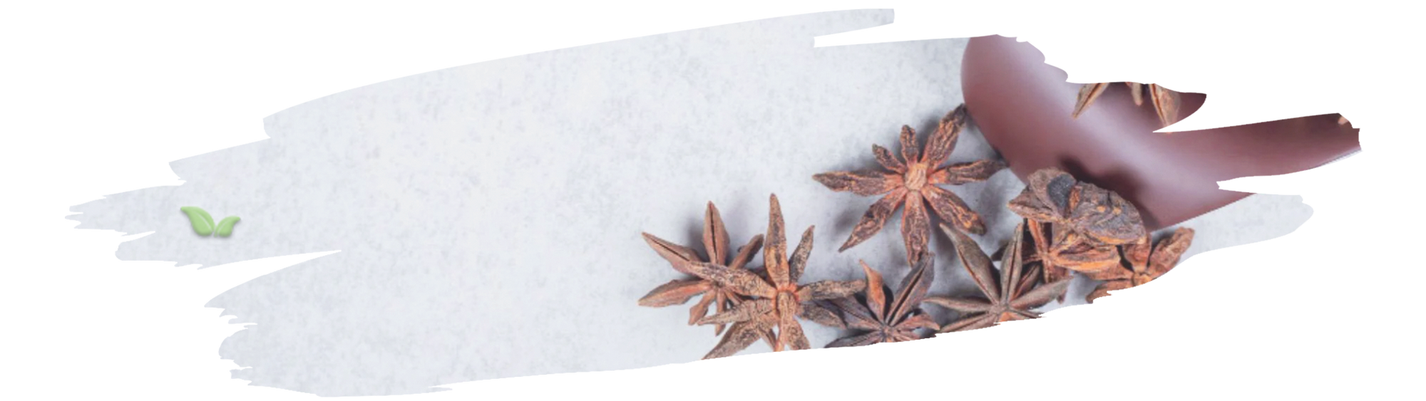 chef adding star anise to broth demonstrating traditional flavoring in Asian dishes
