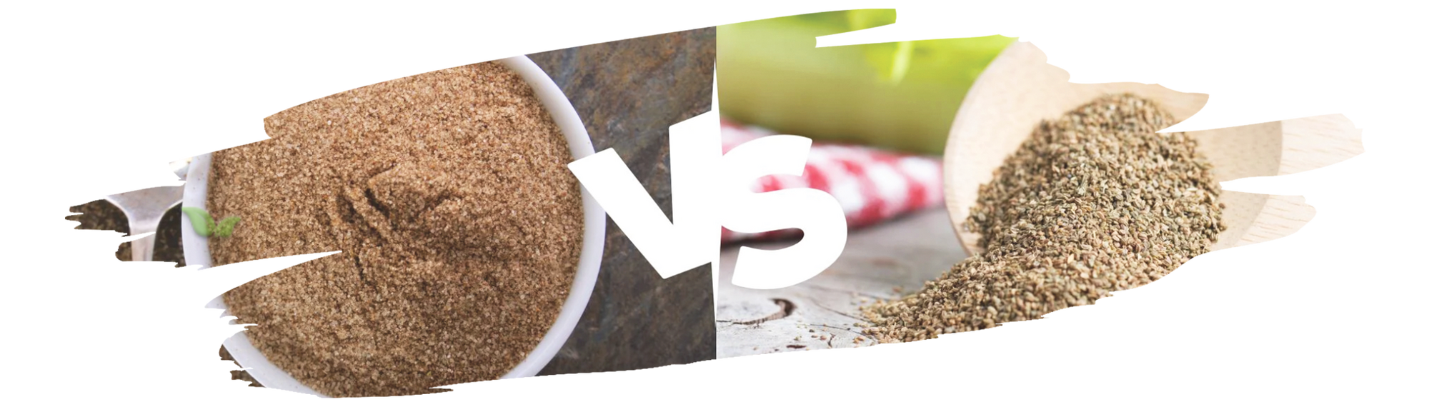 comparison of celery seed and celery salt highlighting flavor and usage in cooking