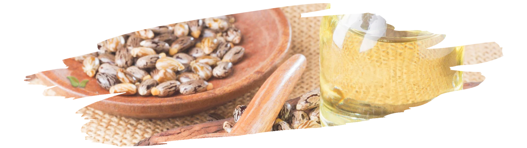 celery seed oil used in aromatherapy and cooking demonstrating its versatile uses