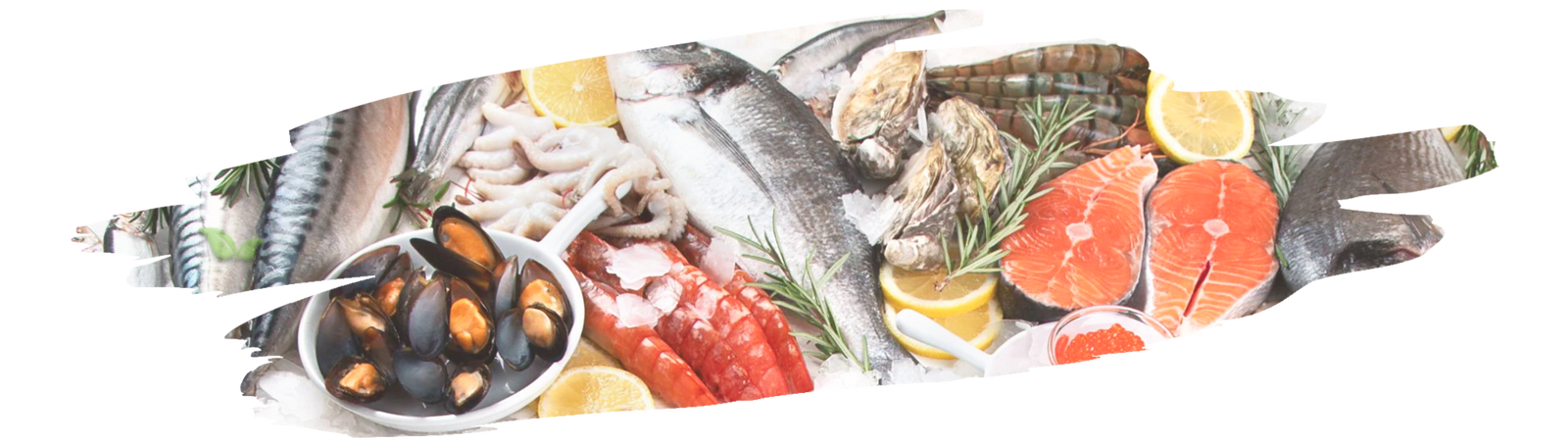 Vibrant Catch of the Day seafood recipes on a rustic coastal table