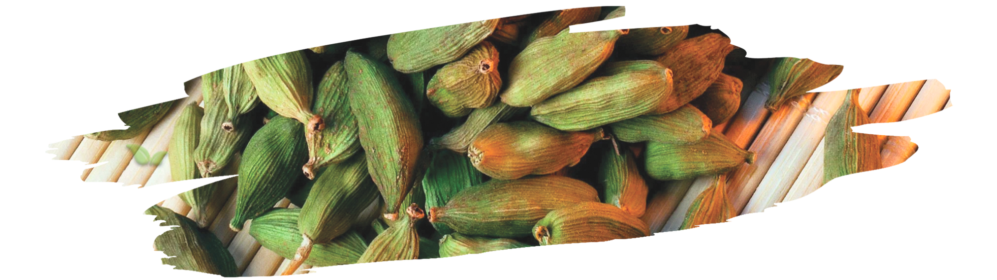 Vibrant cardamom spice enhancing flavorful dishes in cozy kitchen setting