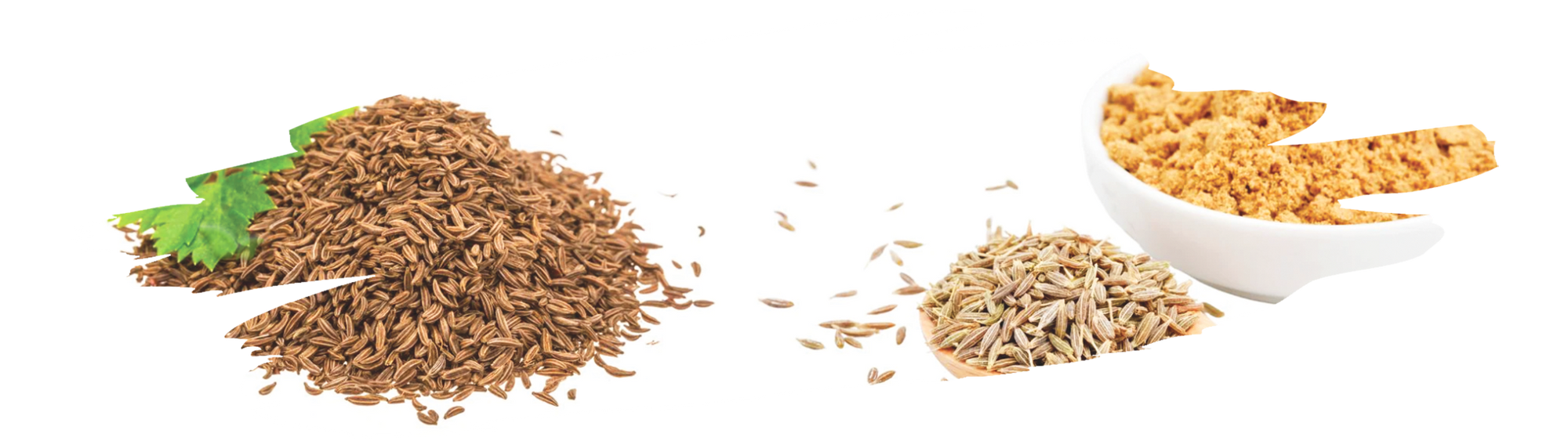 Comparison of caraway seeds vs cumin in vintage spice jars
