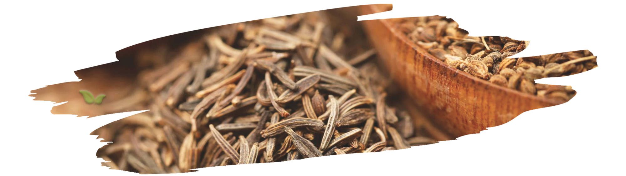 Vibrant recipes featuring caraway seeds for aromatic cooking