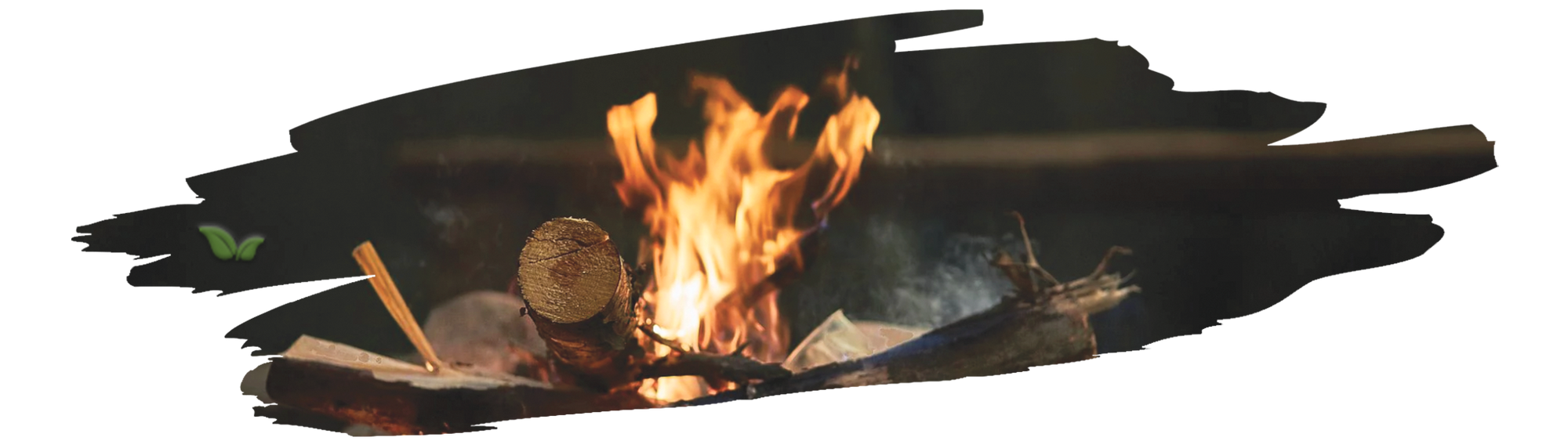pitmaster adding oak wood to smoker demonstrating its flavor and burning quality