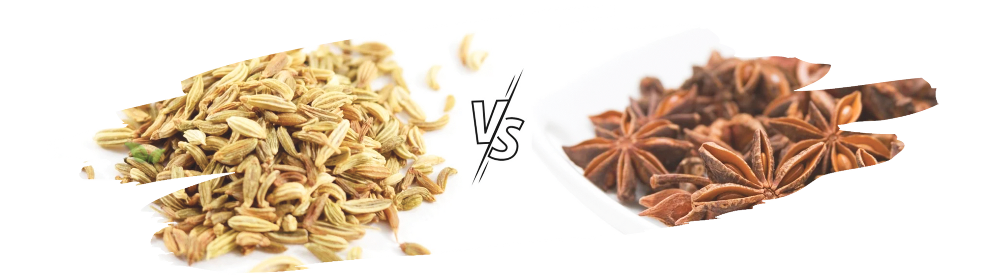 spices comparison of anise and fennel highlighting flavor and aroma distinctions