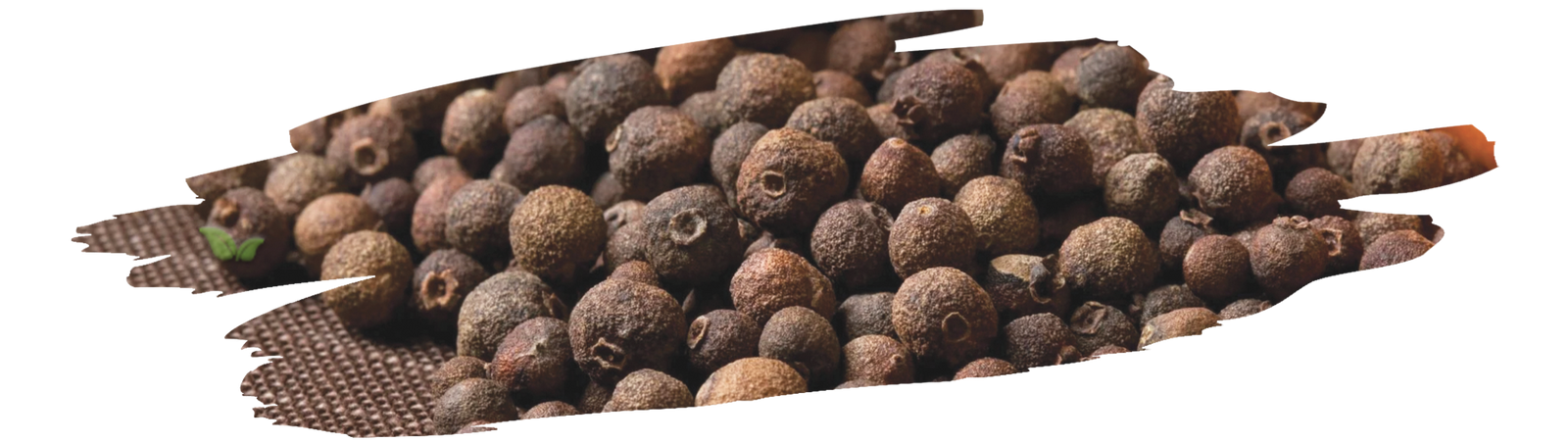 baking and cooking ingredients with allspice used for flavoring sweet and savory dishes