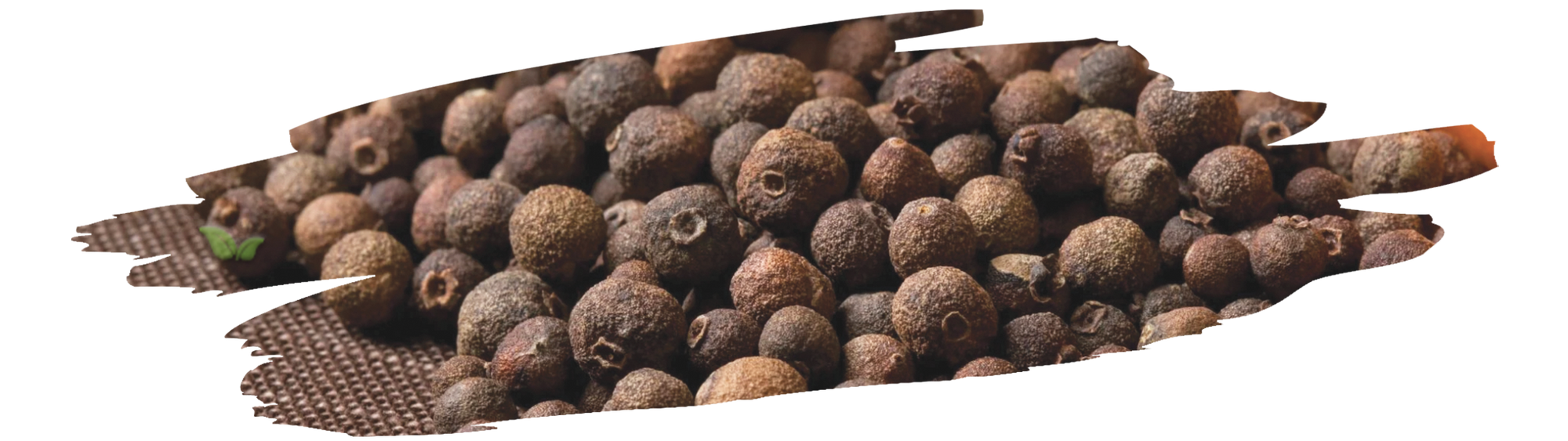 baking and cooking ingredients with allspice used for flavoring sweet and savory dishes
