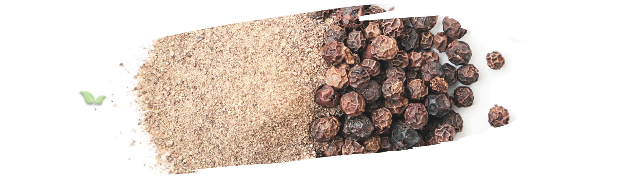 comparison of ground black pepper and peppercorns highlighting usage in cooking