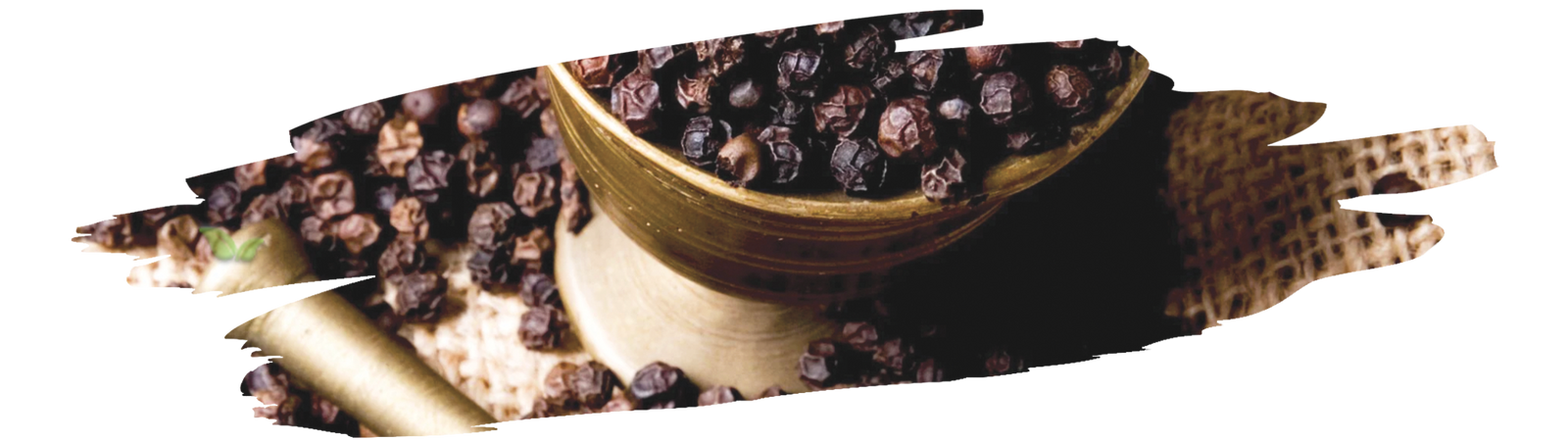 harvesting process of black pepper showing how peppercorns are collected and dried